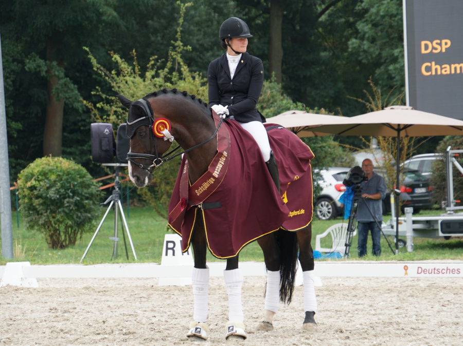 DSP De Sandro DS 2019 - DSP De Sandro