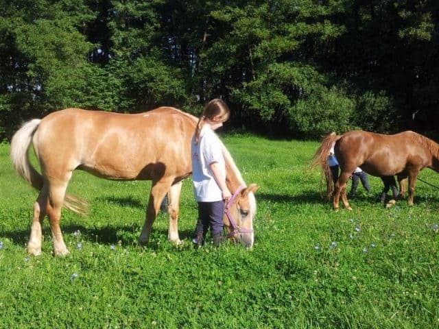 8 640x480 - Heilpädagogisches Reiten