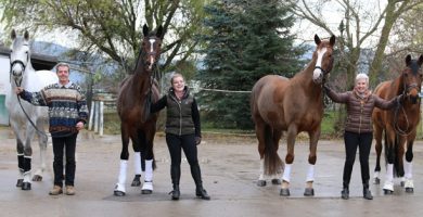 Sigrid Ebert und ihre Pferde