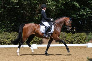 Gelungenes Dressurturnier auf dem Burghof DSC 4435 300x200 - Gelungenes Dressurturnier auf dem Burghof