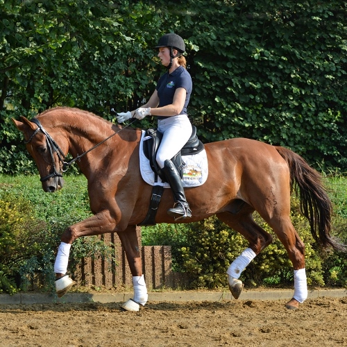 Lena Boesen - Training und Turniermanagement