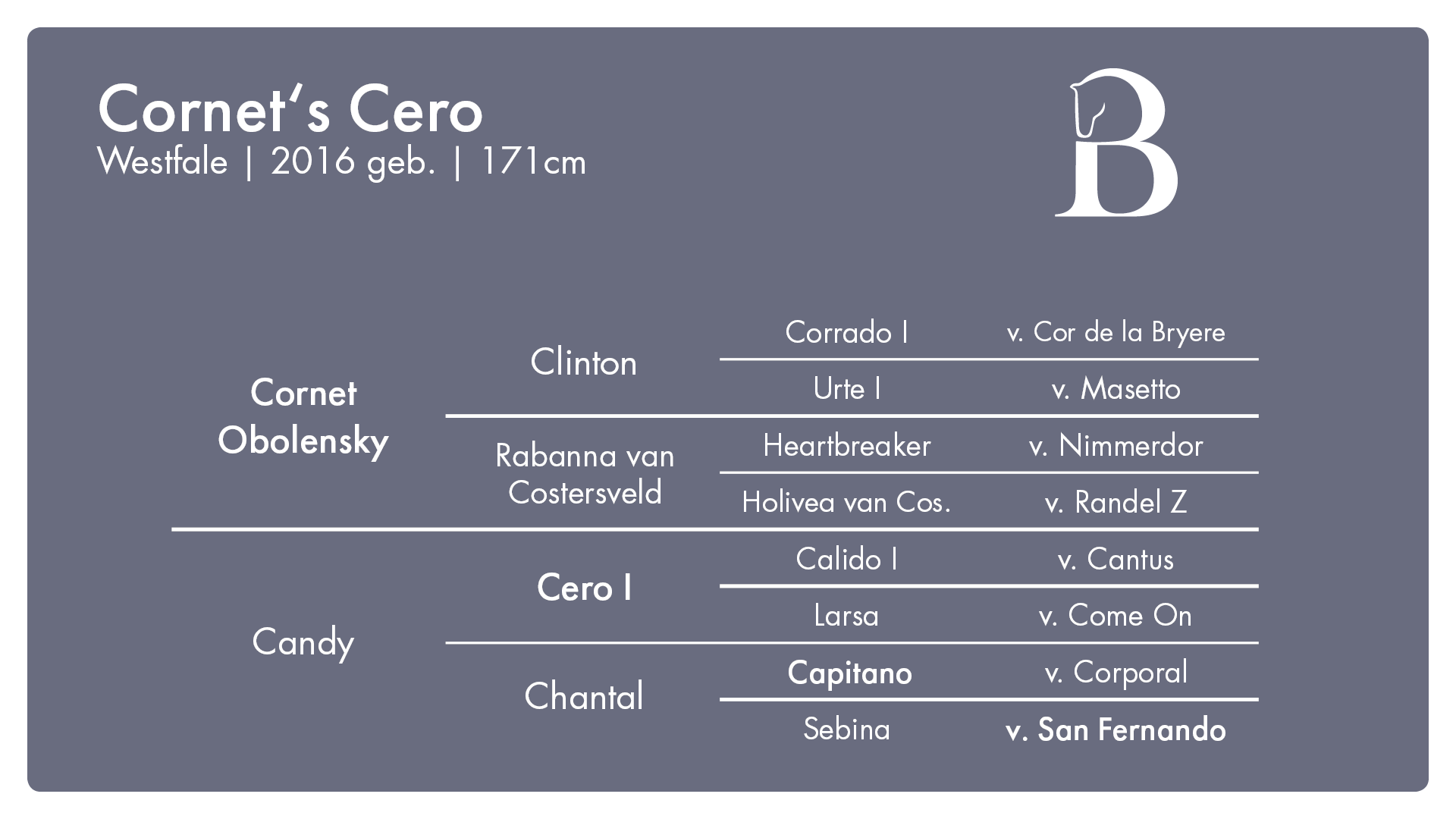 Cornets Cero2 - 2. Burghof-Online-Hengstschau