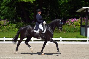 Laurice-Söhne erfolgreich in Darmstadt-Kranichstein 8079 011 1 2632 2 300x200 - Laurice-Söhne erfolgreich in Darmstadt-Kranichstein