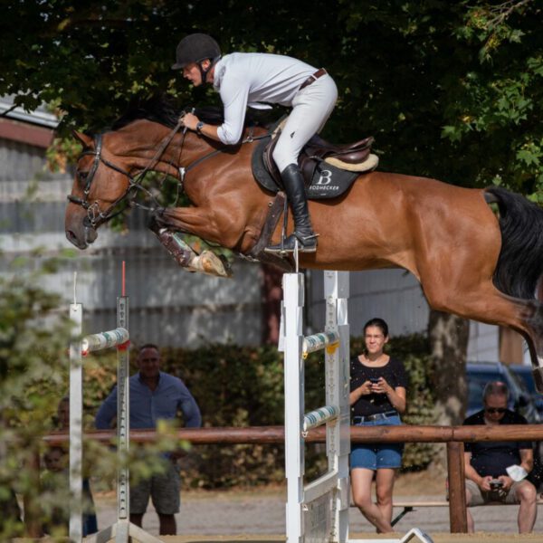 496A3840 1 scaled 600x600 - Hickstead Prime