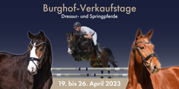 Titelbild Web v3 scaled 600x300 - Home