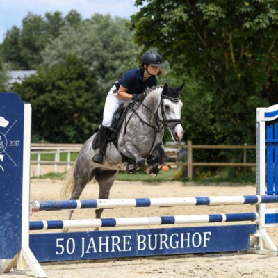 DSC 8152 scaled 400x400 - Sportpferde