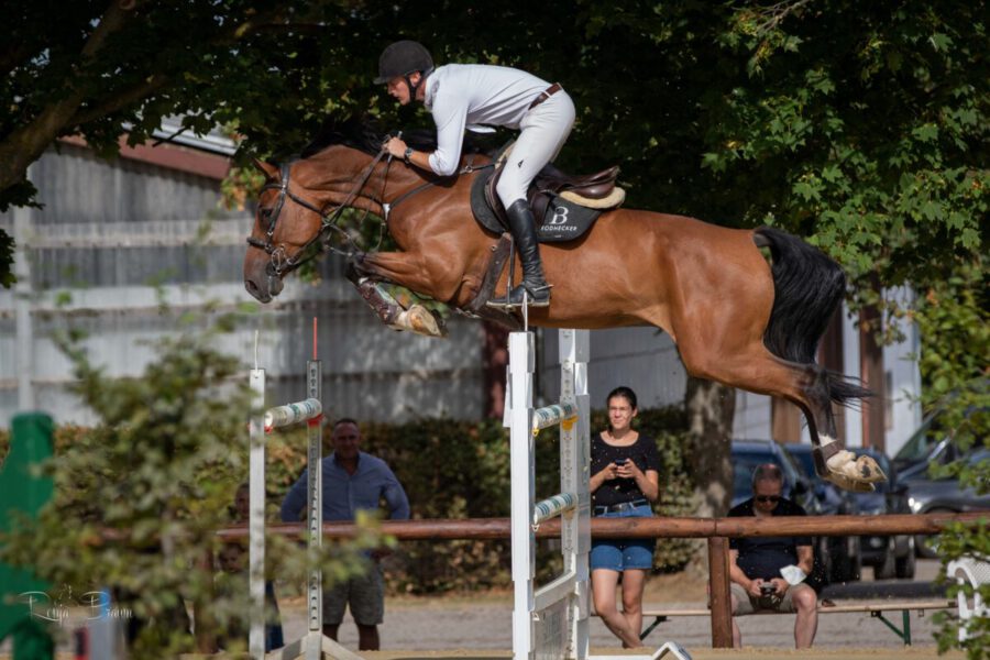 496A3840 scaled 900x600 - Showjumpers/Hunters